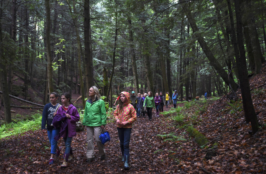 students exploring woods