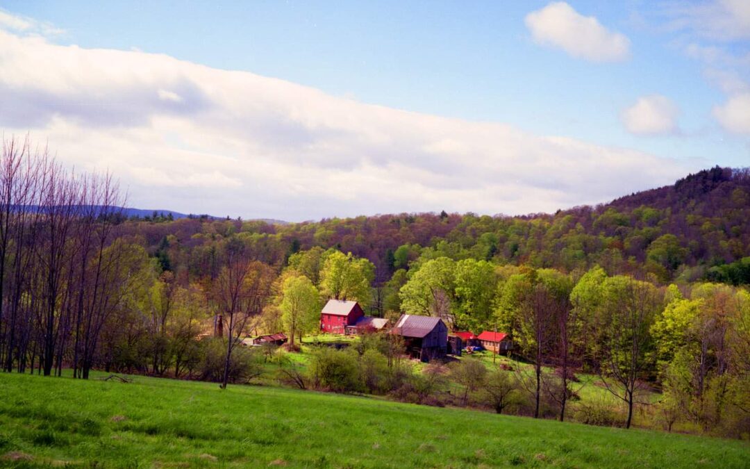 Packer Corners: Guilford, VT