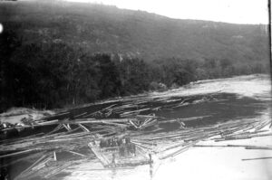 Logs in Connecticut River near Brattleboro